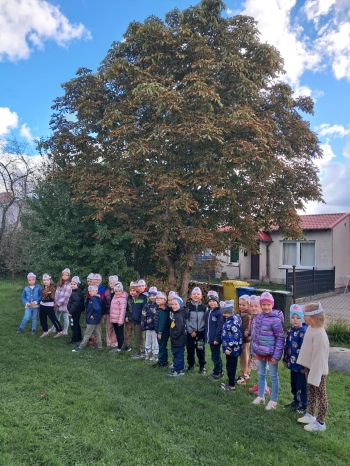 cabd136a-33c7-46d6-8f55-c395ab1e0879