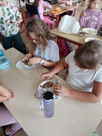 6fc4d597-35f5-4185-b17f-d1d76c6e1017