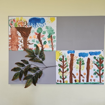 165cc0a6-26de-4e99-84cf-6e0938c11311