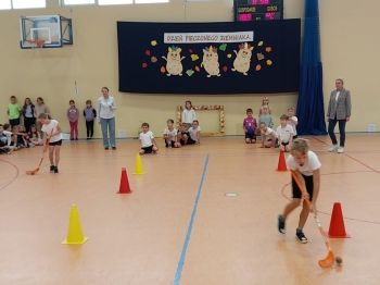 24931e0c-b33a-4691-b653-612962397338