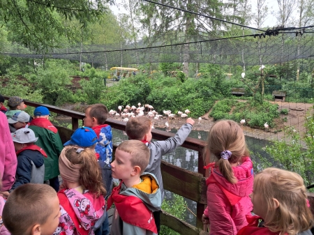  Wycieczka do Gdańskiego Ogrodu Zoologicznego